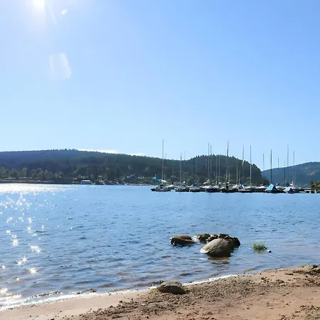 -schwarzwaldkult Pool Und Sauna *