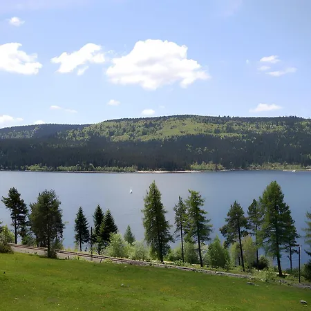 -schwarzwaldkult Pool Und Sauna Appartement